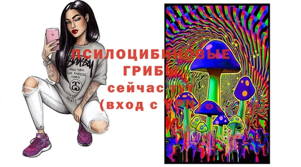 твердый Горно-Алтайск