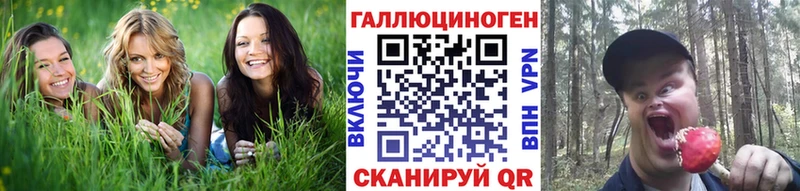 Галлюциногенные грибы Magic Shrooms  Купить  Пыталово 