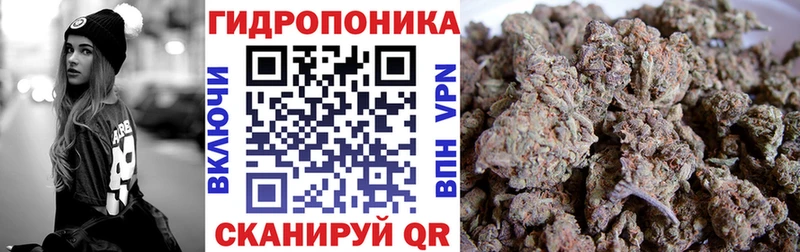 Купить где  Пыталово  Каннабис SATIVA & INDICA 